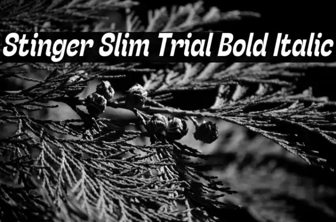 Stinger Slim Trial Bold Italic Font examples