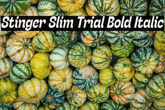 Stinger Slim Trial Bold Italic Example 2