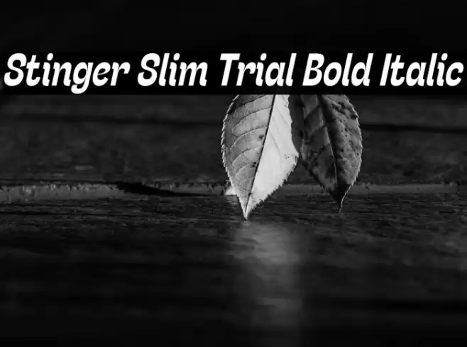 Stinger Slim Trial Bold Italic Font examples