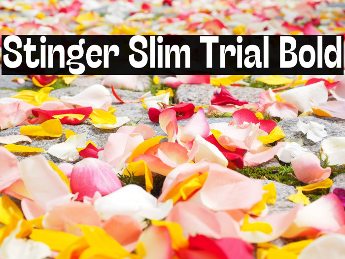 Stinger Slim Trial Bold Example 1