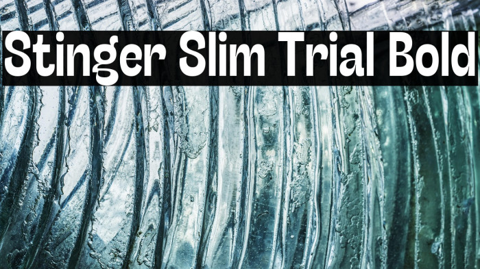 Stinger Slim Trial Bold Example 2
