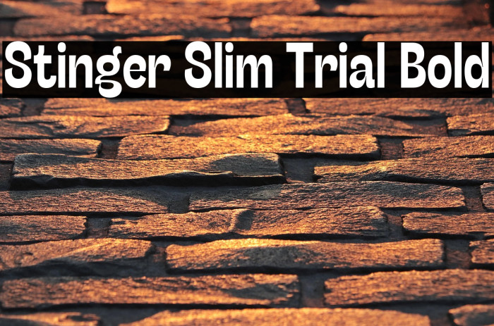 Stinger Slim Trial Bold Example 3