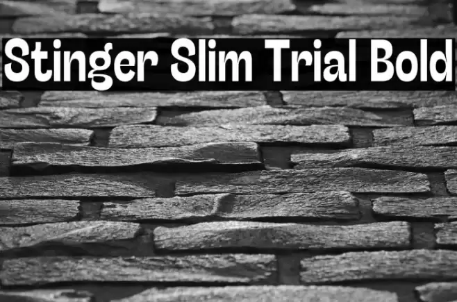 Stinger Slim Trial Bold Font examples