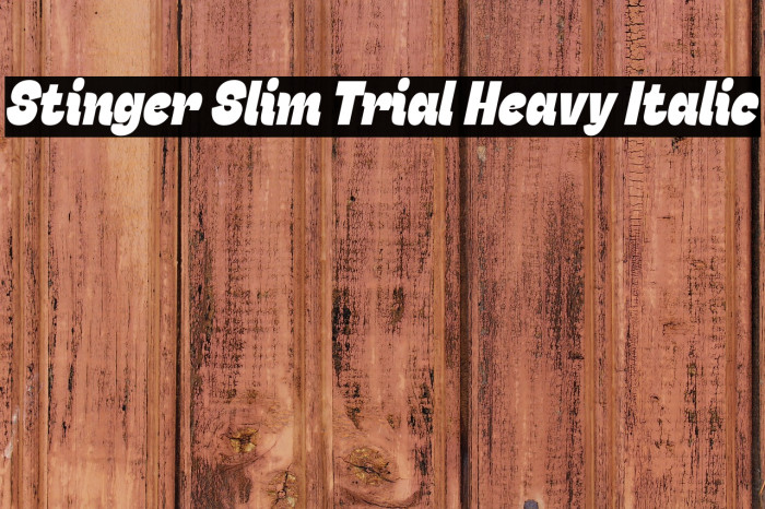 Stinger Slim Trial Heavy Italic Example 1
