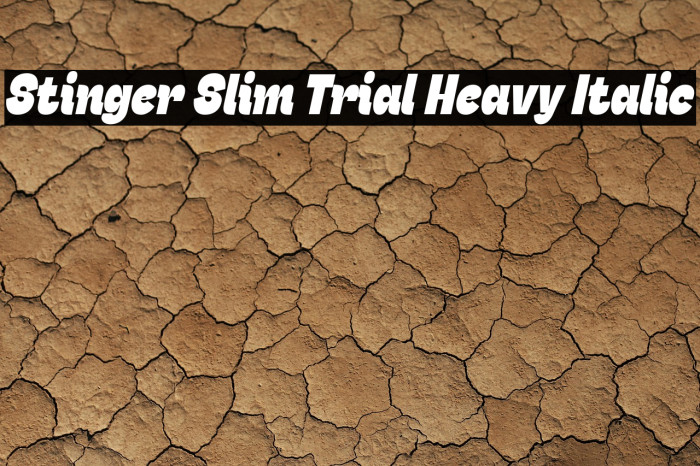 Stinger Slim Trial Heavy Italic Example 2