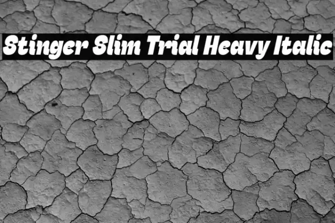 Stinger Slim Trial Heavy Italic Font examples