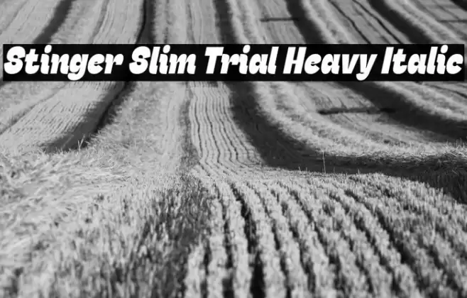 Stinger Slim Trial Heavy Italic Font examples