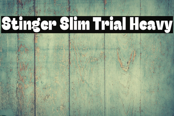 Stinger Slim Trial Heavy Example 1