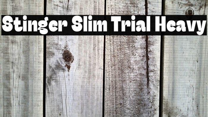 Stinger Slim Trial Heavy Example 2