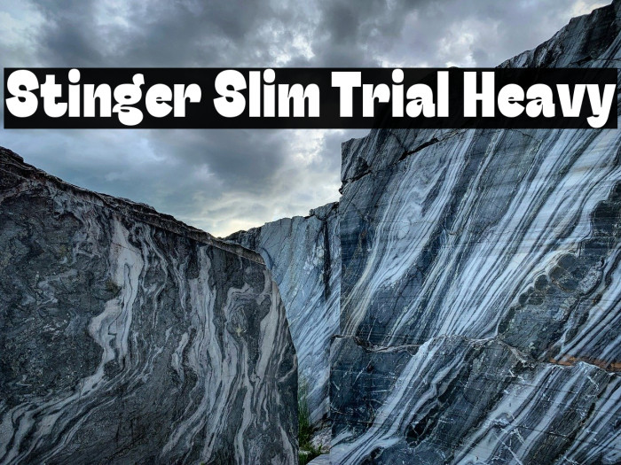 Stinger Slim Trial Heavy Example 3