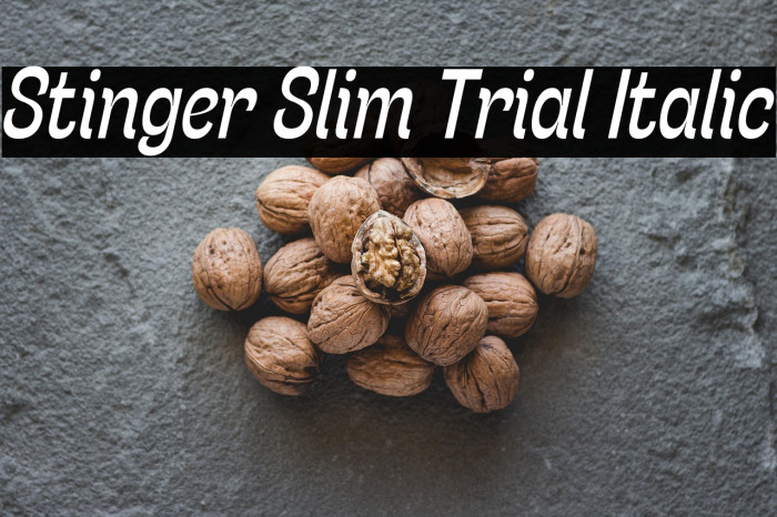 Stinger Slim Trial Italic Example 1