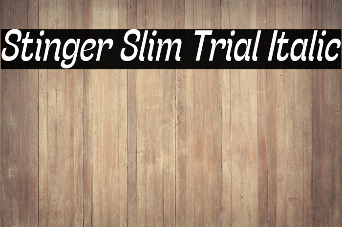 Stinger Slim Trial Italic Example 2