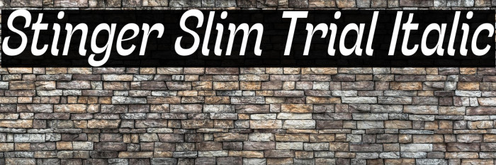 Stinger Slim Trial Italic Example 3