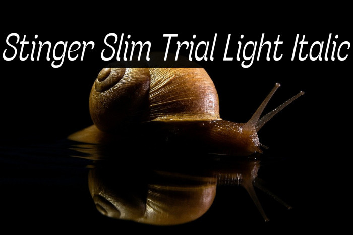Stinger Slim Trial Light Italic Example 3