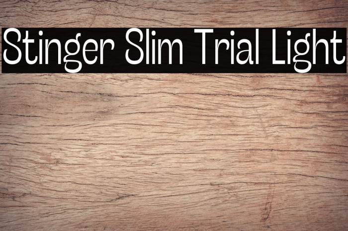 Stinger Slim Trial Light Example 2