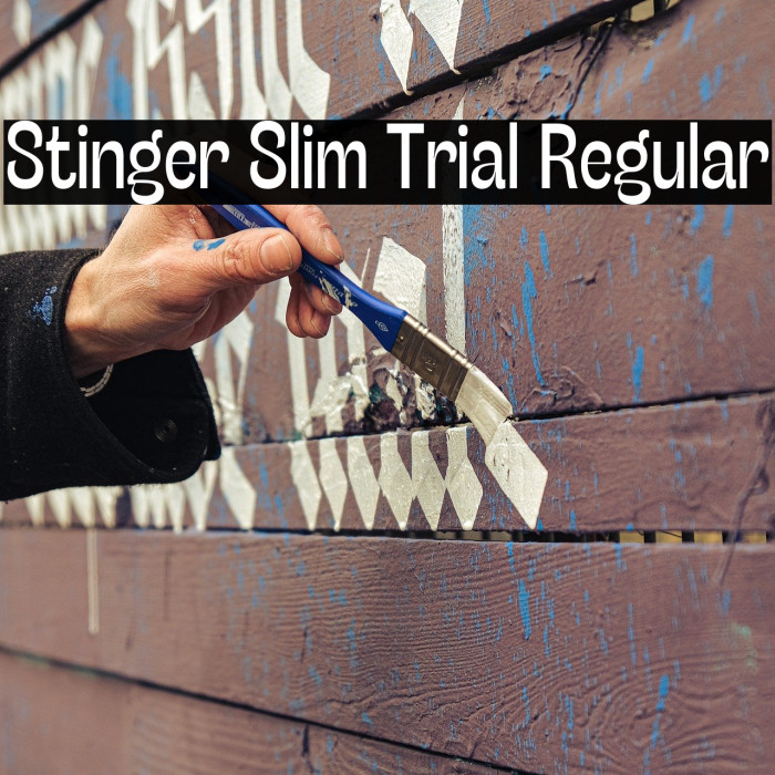 Stinger Slim Trial Regular Example 2