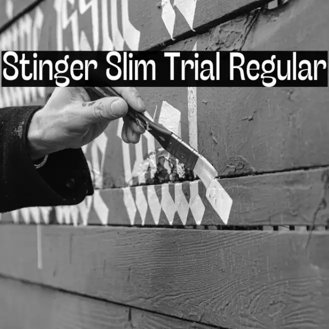 Stinger Slim Trial Regular Font examples