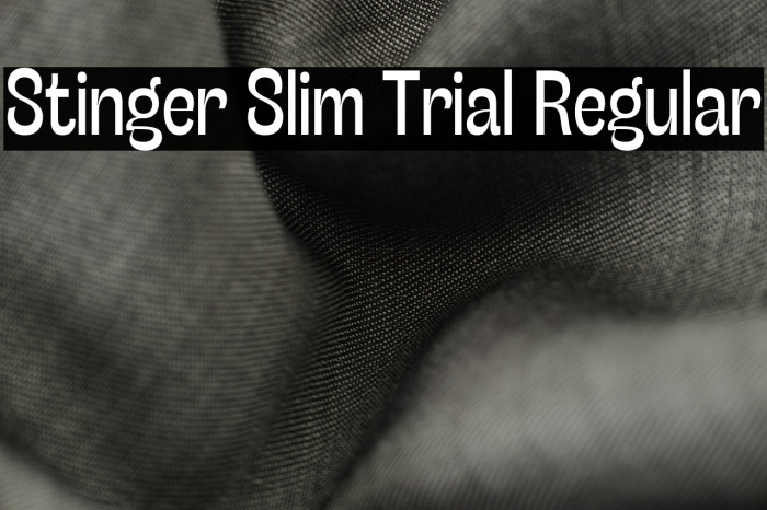 Stinger Slim Trial Regular Example 3