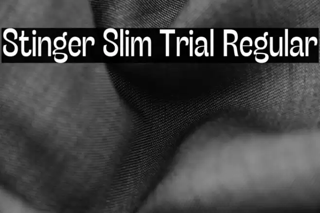 Stinger Slim Trial Regular Font examples