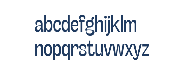 Stinger Slim Trial Regular Lowercase