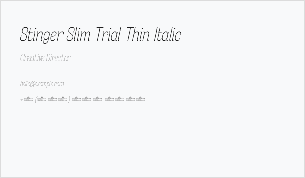 Stinger Slim Trial Thin Italic Business Card