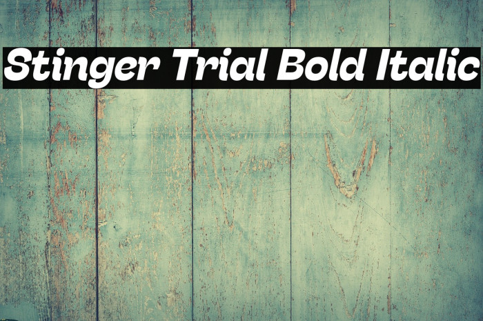 Stinger Trial Bold Italic Example 1
