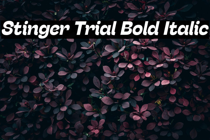 Stinger Trial Bold Italic Example 2