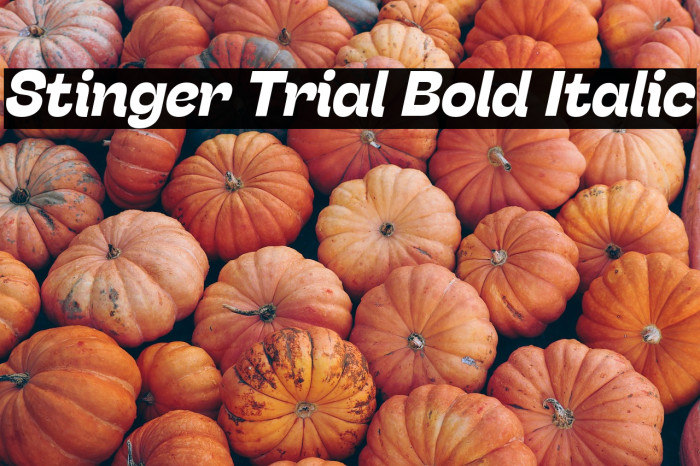 Stinger Trial Bold Italic Example 3