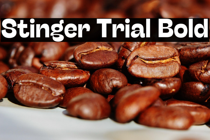 Stinger Trial Bold Example 1