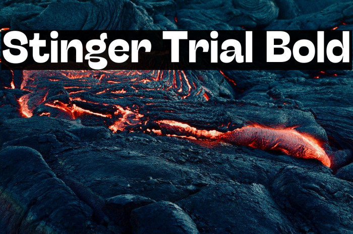 Stinger Trial Bold Example 2