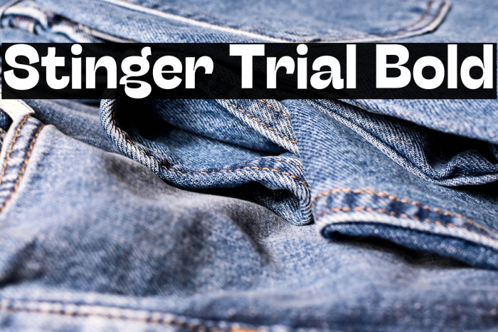 Stinger Trial Bold Example 3