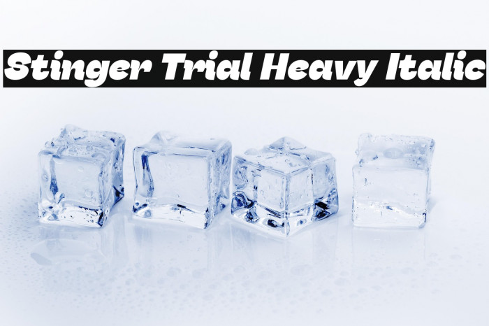 Stinger Trial Heavy Italic Example 1