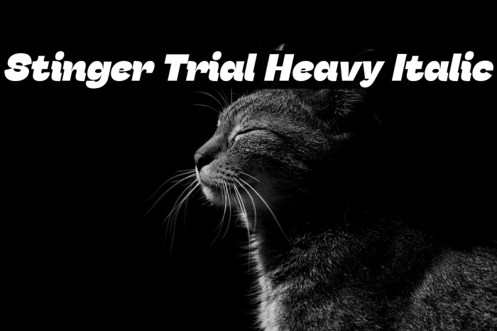 Stinger Trial Heavy Italic Example 2