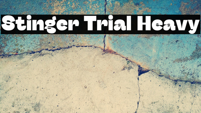 Stinger Trial Heavy Example 1