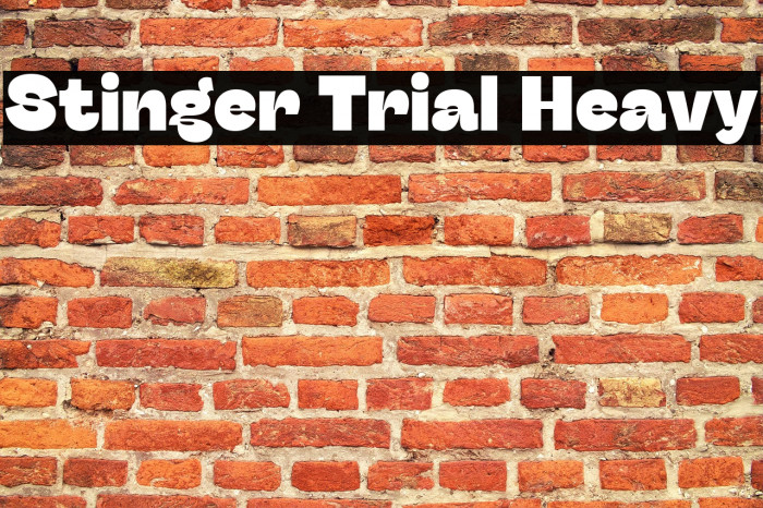 Stinger Trial Heavy Example 3