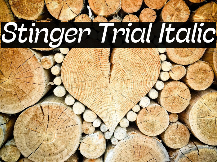 Stinger Trial Italic Example 1