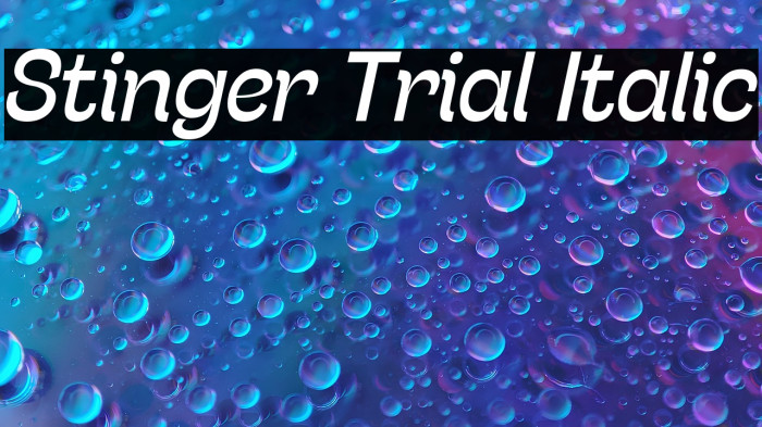 Stinger Trial Italic Example 2