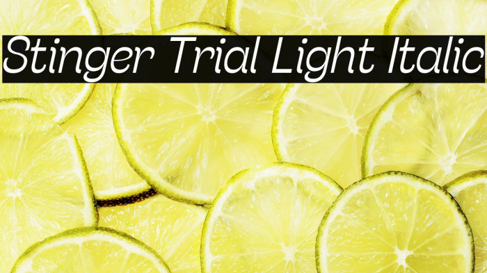 Stinger Trial Light Italic Example 1