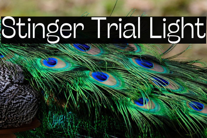Stinger Trial Light Example 1