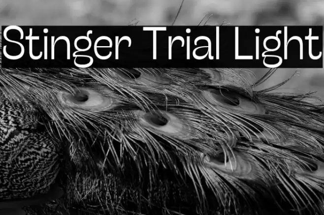 Stinger Trial Light Font examples