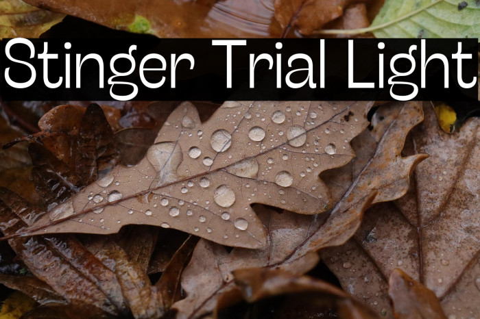 Stinger Trial Light Example 2
