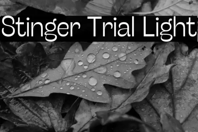 Stinger Trial Light Font examples