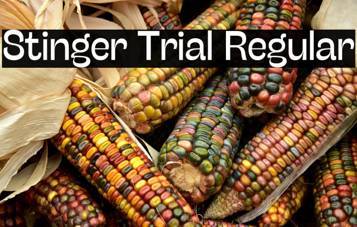 Stinger Trial Regular Example 1