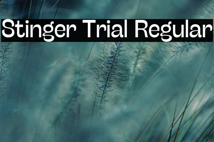 Stinger Trial Regular Example 2