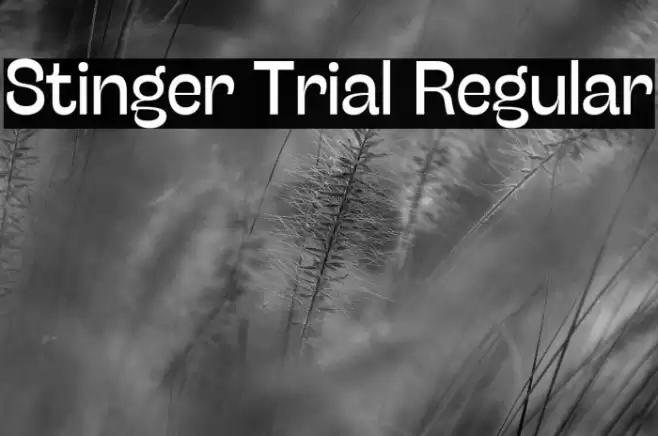 Stinger Trial Regular Font examples