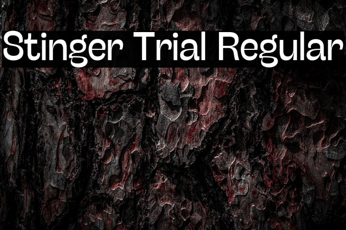 Stinger Trial Regular Example 3