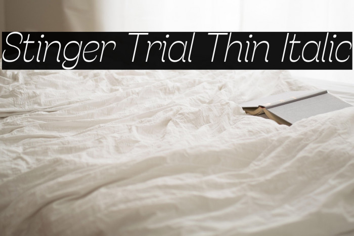 Stinger Trial Thin Italic Example 1