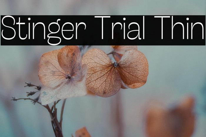 Stinger Trial Thin Example 1