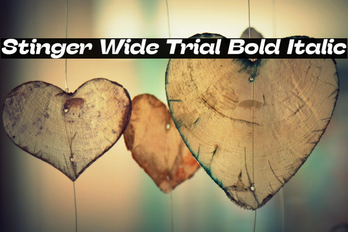 Stinger Wide Trial Bold Italic Example 2