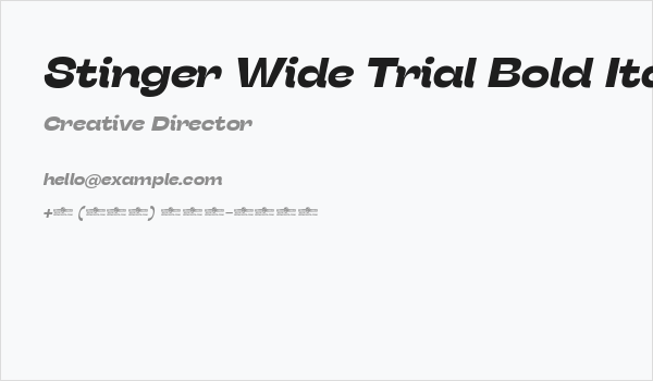 Stinger Wide Trial Bold Italic Business Card